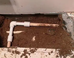 确山测漏水哪家好