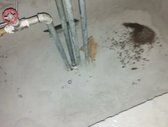 确山卫生间测漏水价格明细