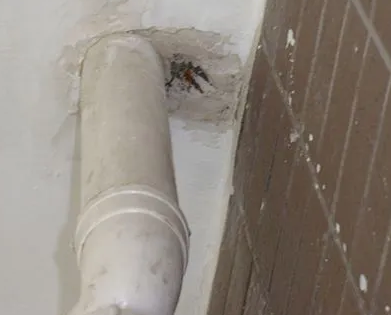 确山漏水检测哪家好